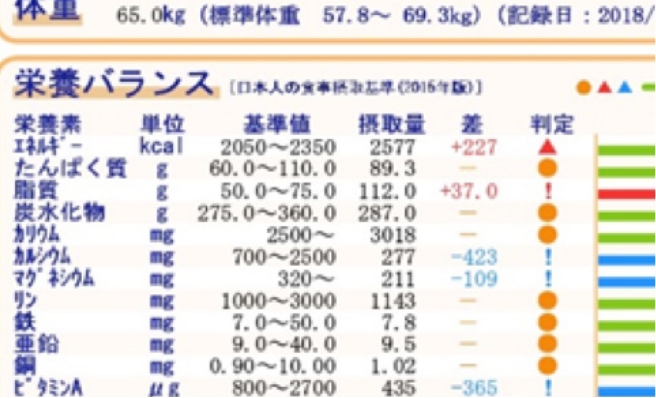 栄養バランス分析シート